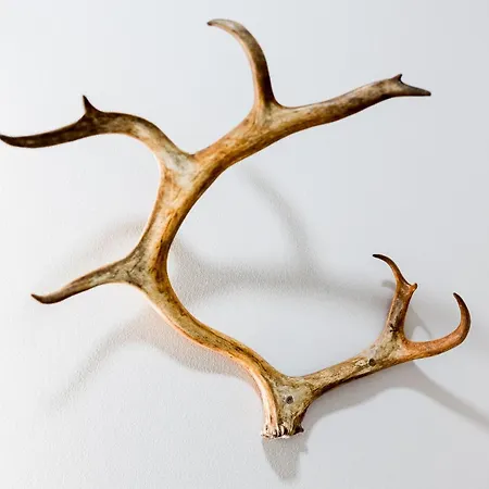 New 2 Bedroom Close To Arctic Circle アパート