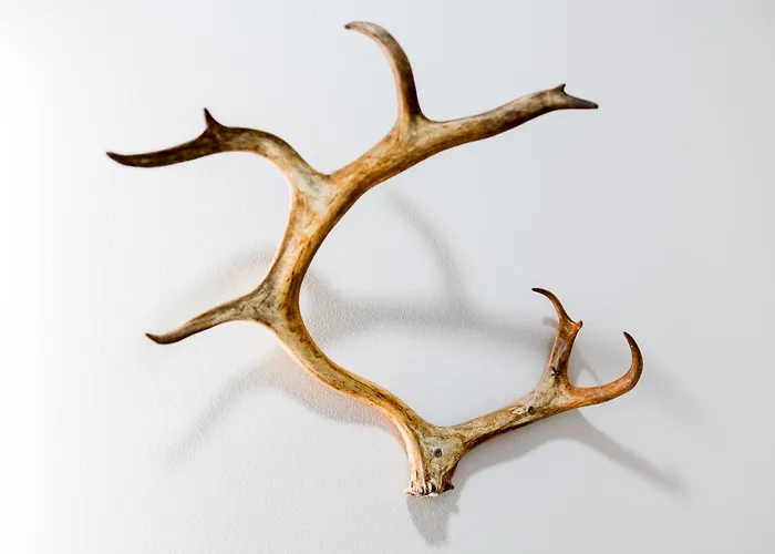 New 2 Bedroom Close To Arctic Circle Διαμέρισμα